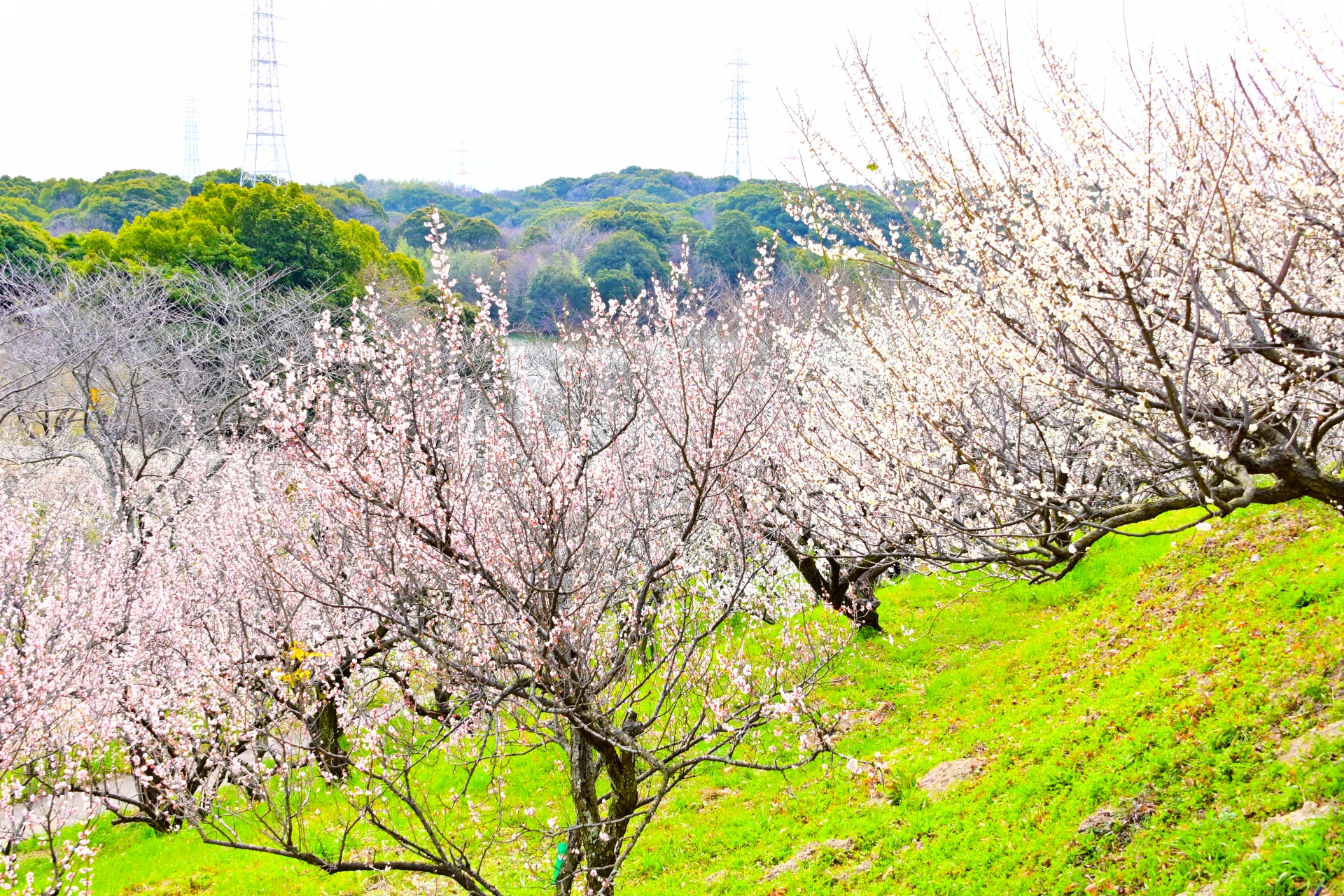 知多市で働くなら？地域の特徴と仕事・求人を紹介