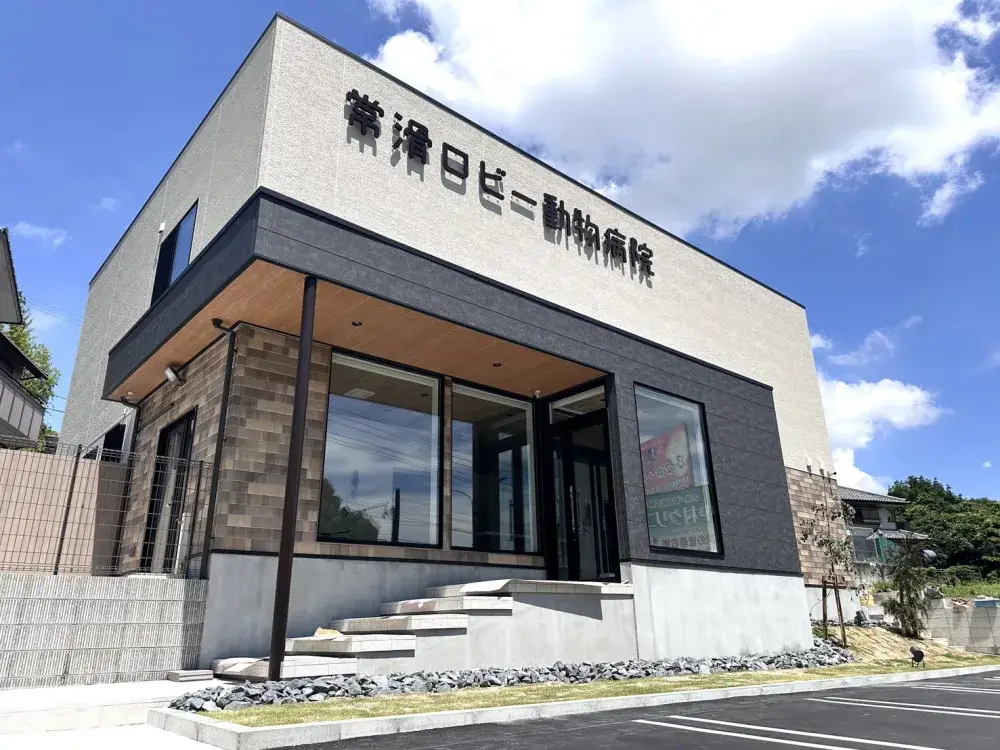 獣医師・正社員:犬、猫、エキゾチックアニマルまで幅広く診療